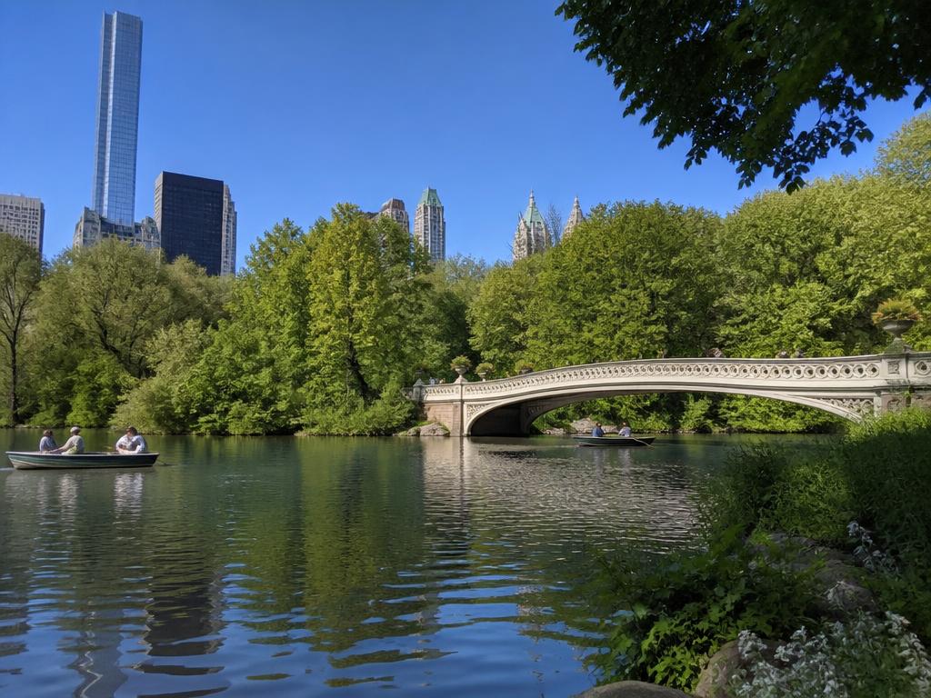Central Park Experience